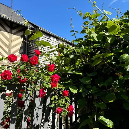 Le Nid Sainte-catherine Honfleur