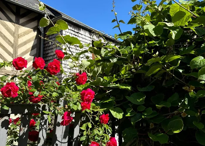 Le Nid Sainte-catherine 옹플뢰르